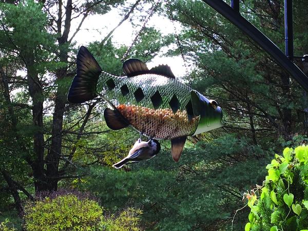 Home and Garden Bird Feeder - Outside Inside Gifts